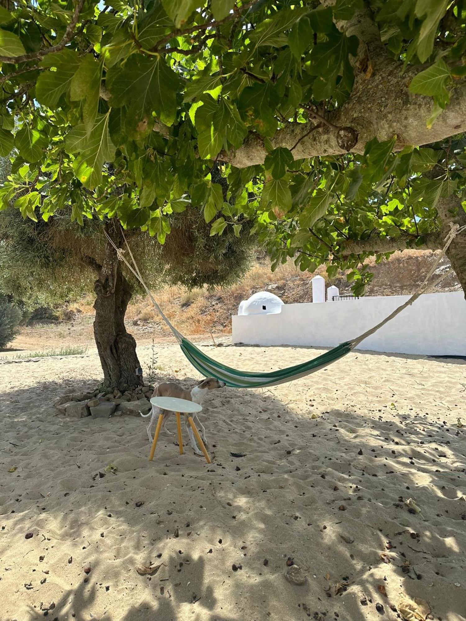 Magnifica Casa A Orillas Del Guadiana Huelva Kültér fotó